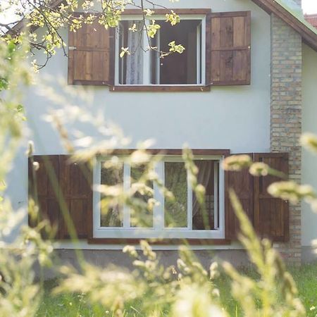 Casa Bunicii - Bran Sohodol Villa Sohodol  Luaran gambar