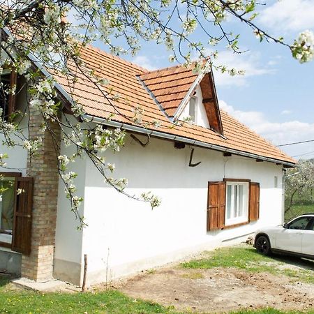 Casa Bunicii - Bran Sohodol Villa Sohodol  Luaran gambar